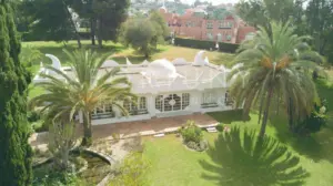 Oficina en Marbella 2